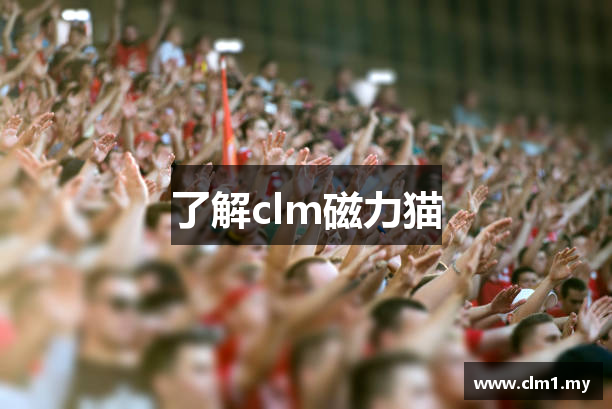 了解clm磁力猫